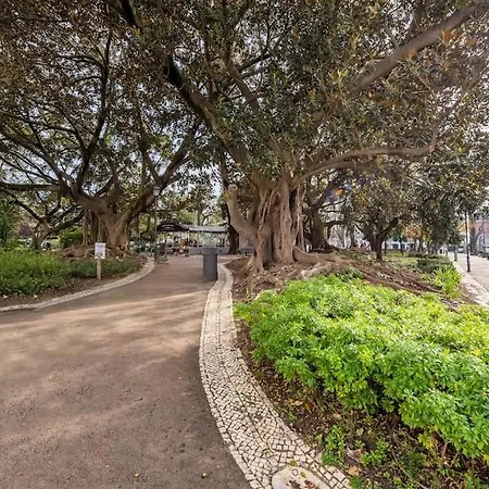 Whome The Loft In Principe Real شقة *