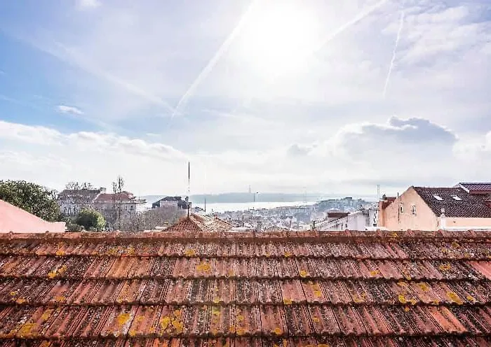 Whome The Loft In Principe Real Apartment